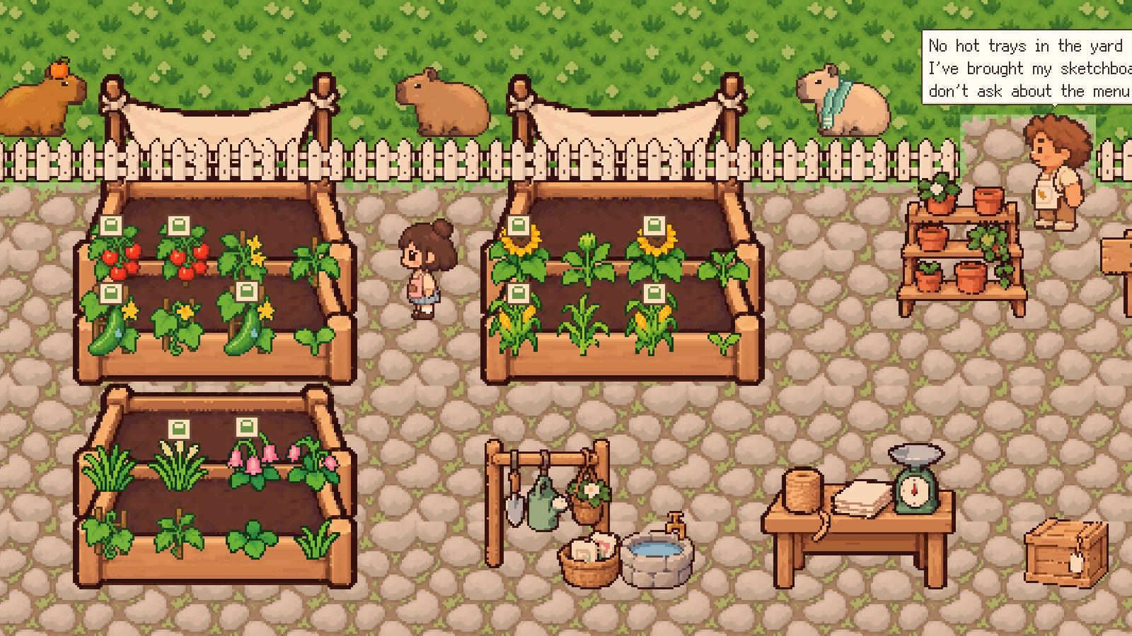 A summer vegetable garden of three raised beds, with capybaras looking in over the fence